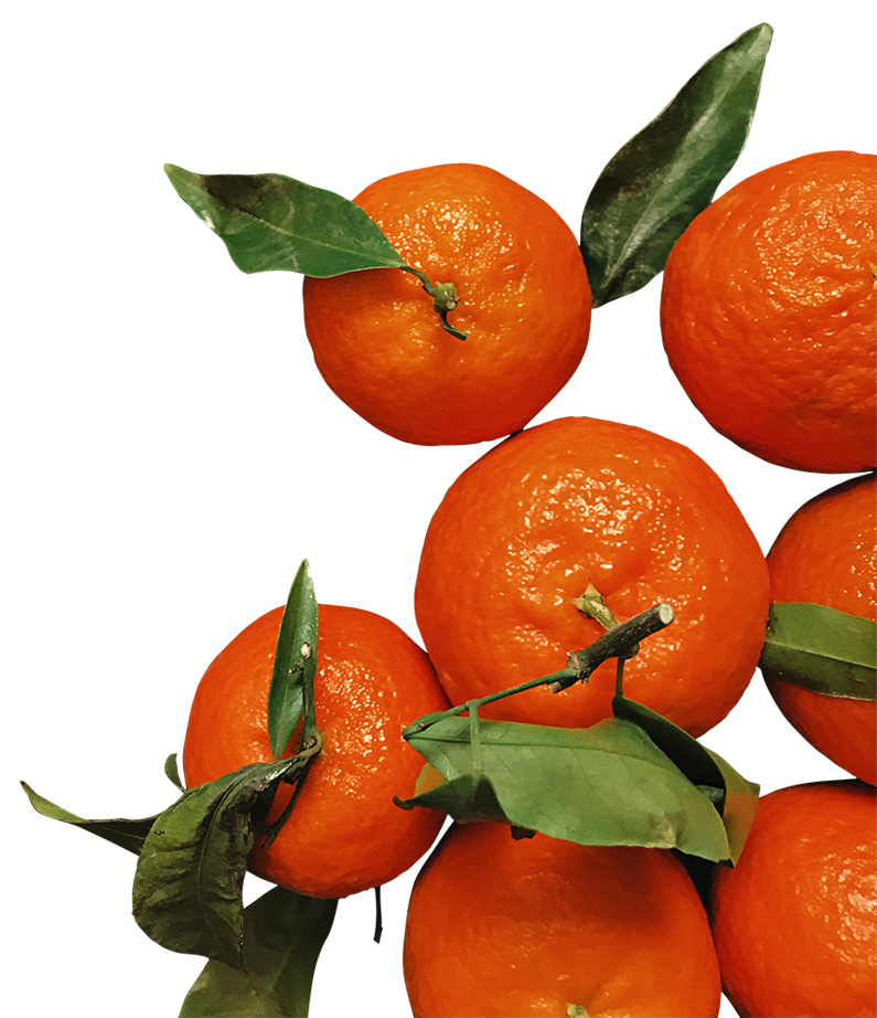 oranges images, oranges png, oranges png image, oranges transparent png image, oranges png full hd images download